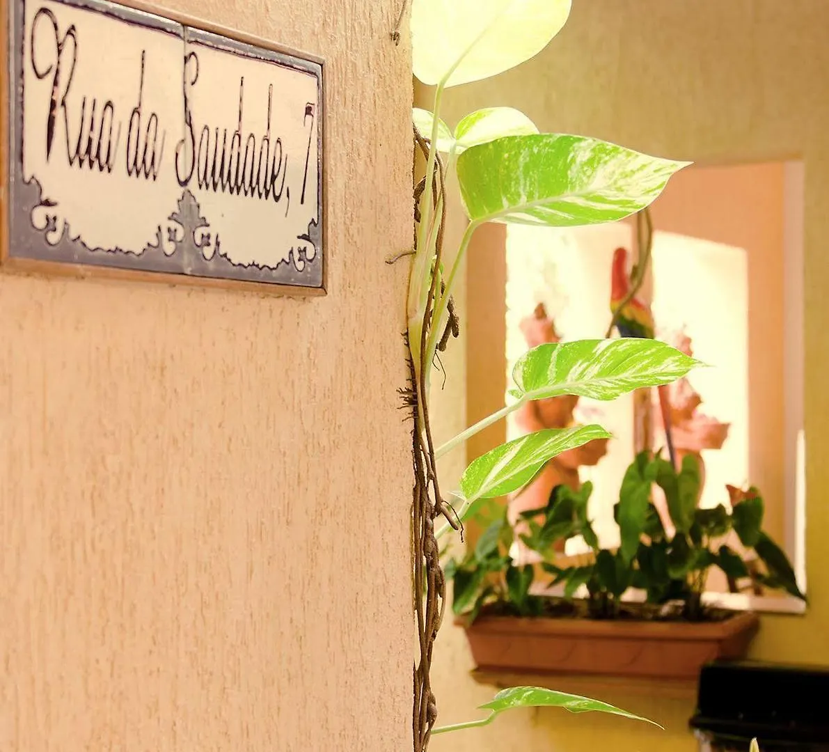 *** Guest house Pousada Villa Boa Vista Recife Brazil
